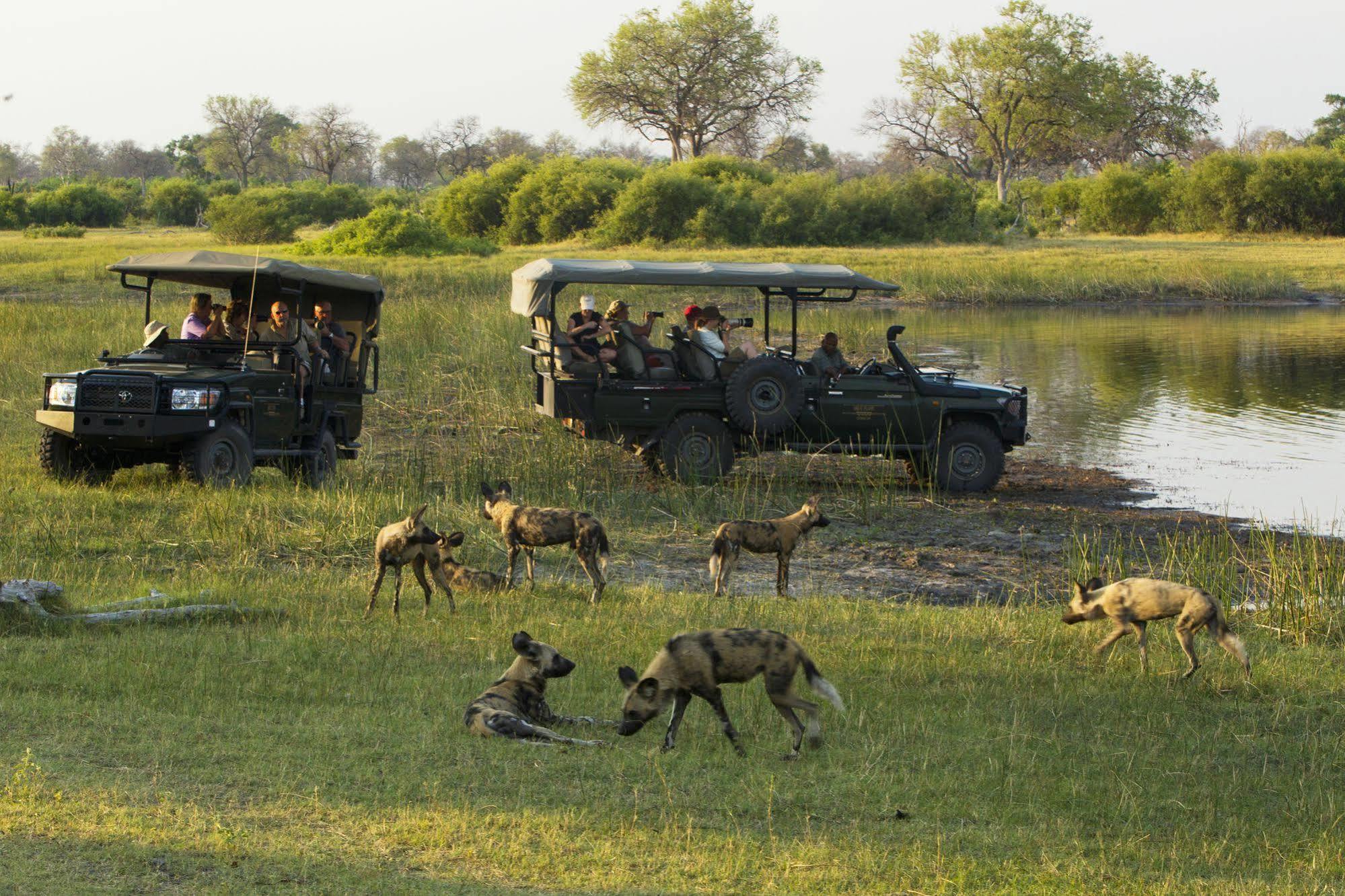 Selinda Camp Hotel Selinda Reserve Eksteriør billede