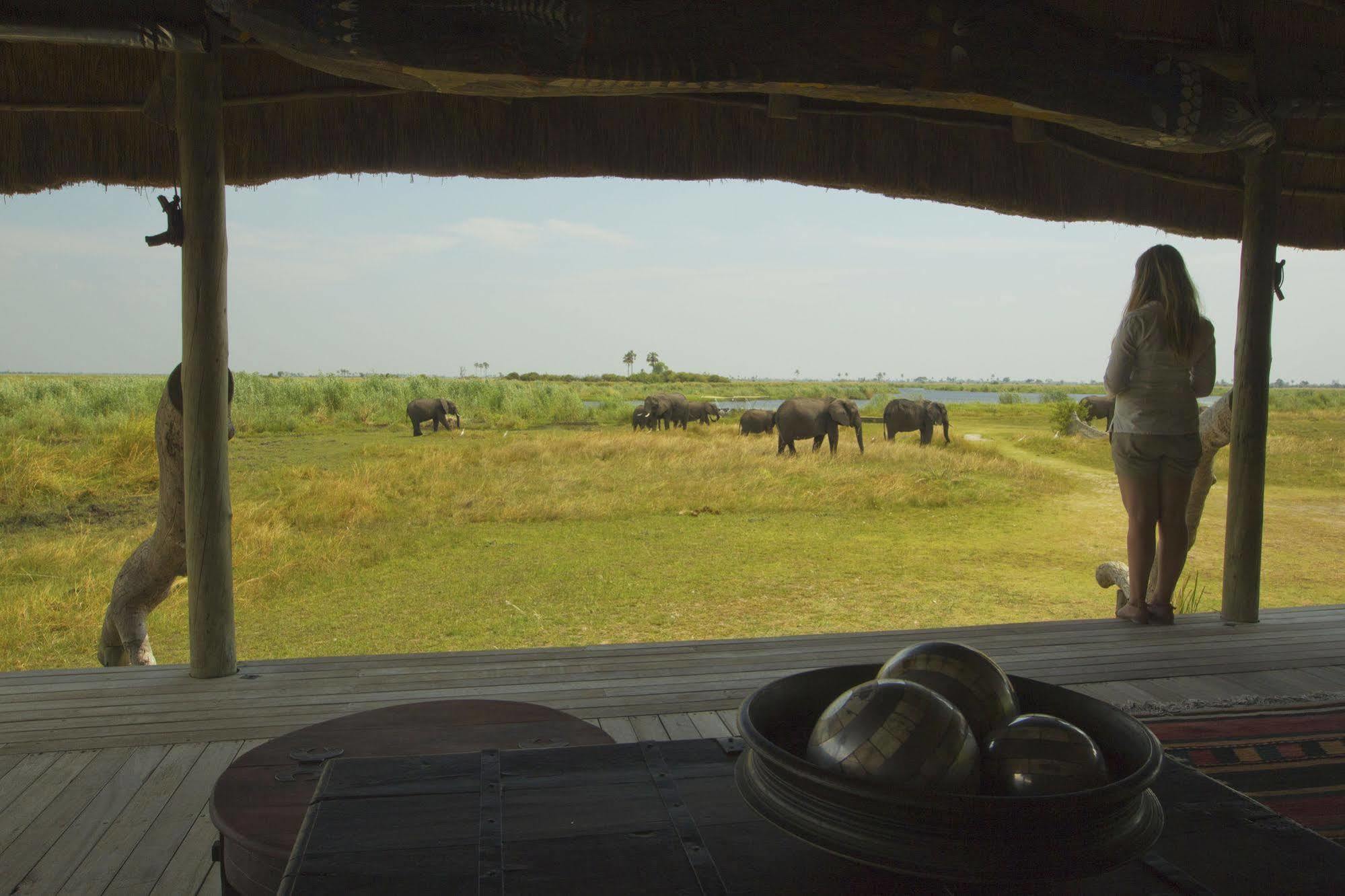 Selinda Camp Hotel Selinda Reserve Eksteriør billede