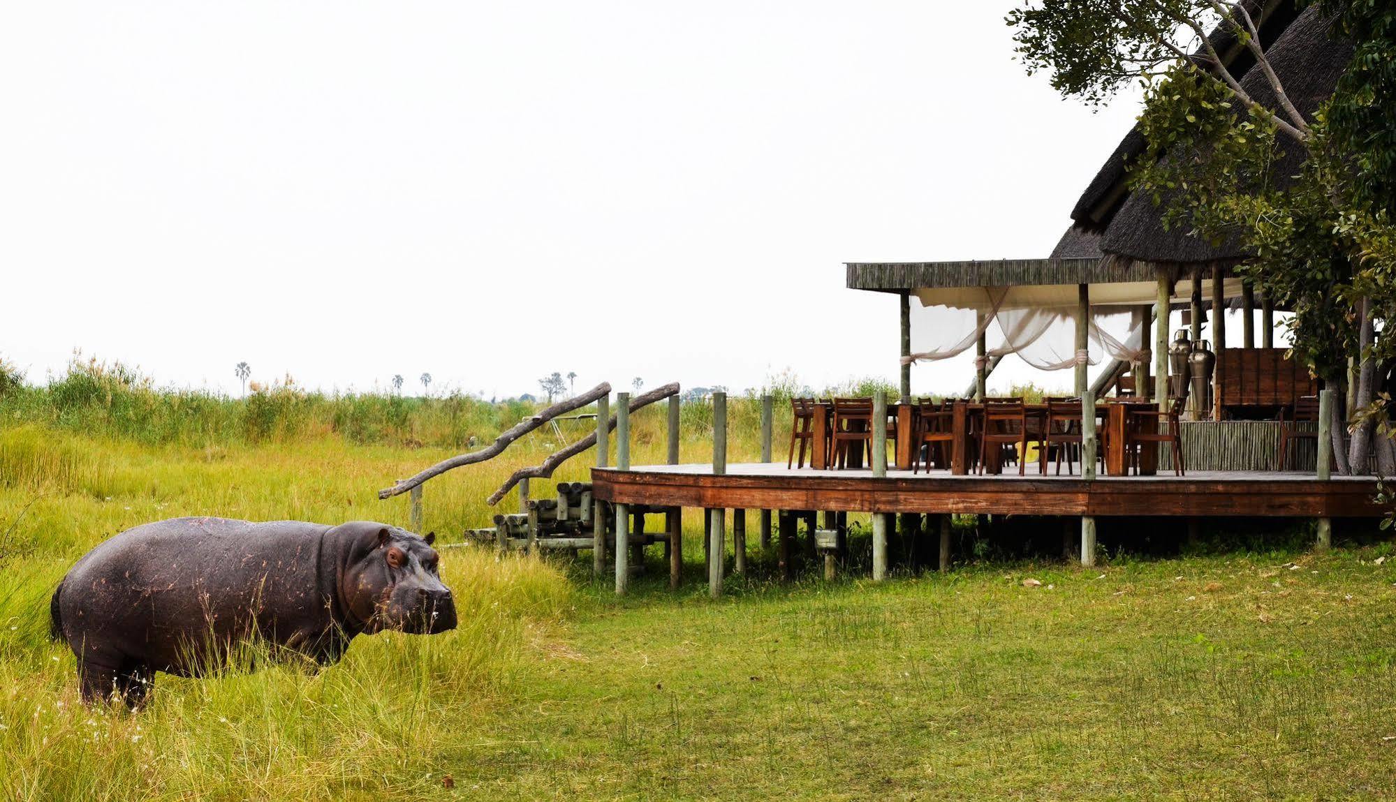 Selinda Camp Hotel Selinda Reserve Eksteriør billede