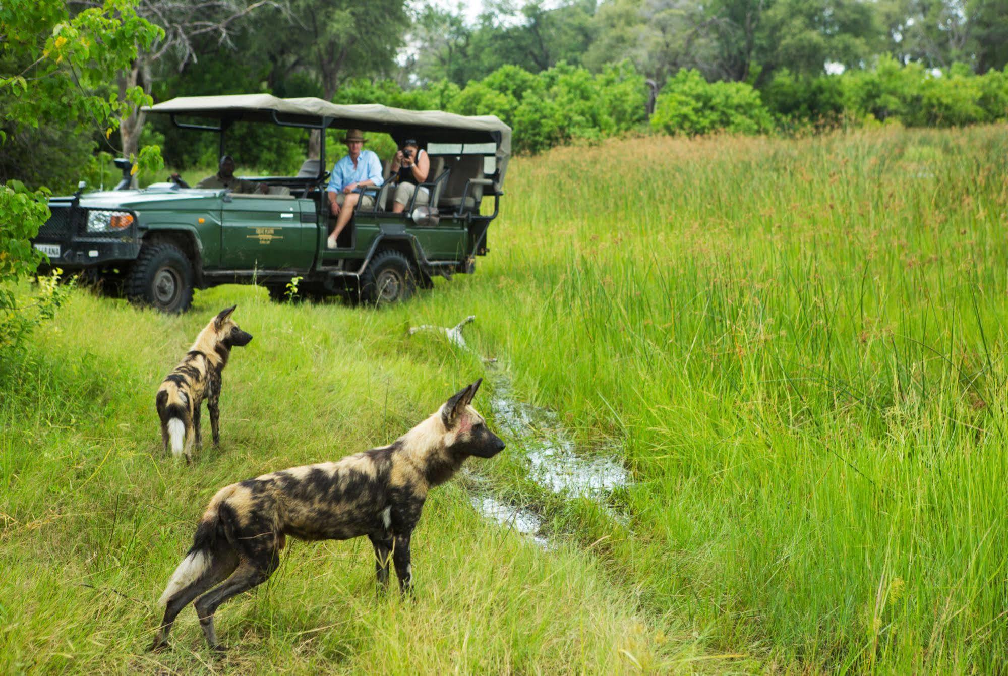 Selinda Camp Hotel Selinda Reserve Eksteriør billede